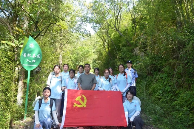 察产业实情 助乡土振兴｜重庆外语外事学院东方语实践团调研重庆市开州区雪宝山镇林下野放茶产业